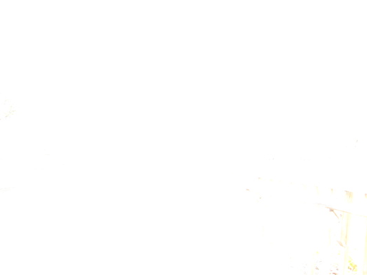 Ferry Beach (05-08-2010 08:51)