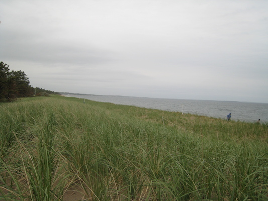 Ferry Beach (05-08-2010 08:51)