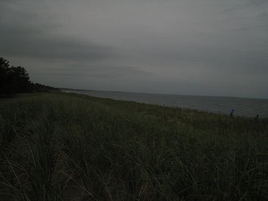 Ferry Beach (05-08-2010 08:51)