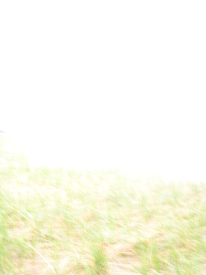 Ferry Beach (05-08-2010 18:25)