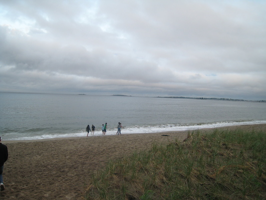 Ferry Beach (05-08-2010 18:26)