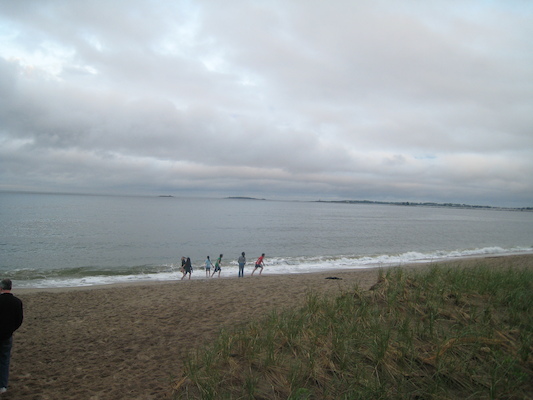 Ferry Beach (05-08-2010 18:26)