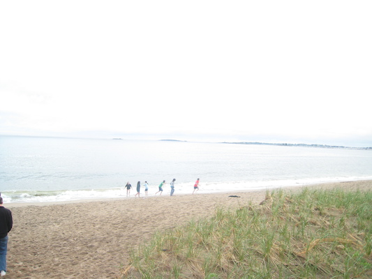 Ferry Beach (05-08-2010 18:26)