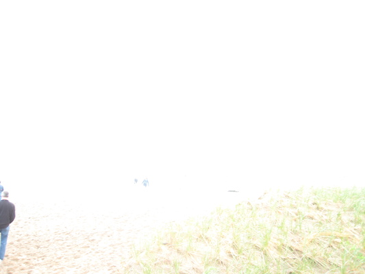 Ferry Beach (05-08-2010 18:26)