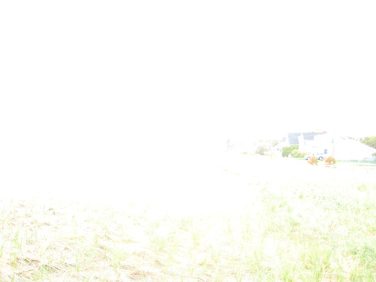 Ferry Beach (05-08-2010 18:26)