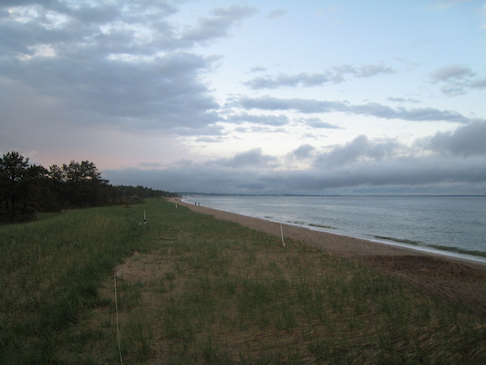 Ferry Beach (05-08-2010 18:26)