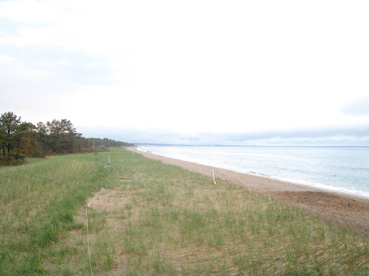 Ferry Beach (05-08-2010 18:26)