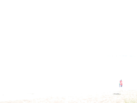 Ferry Beach (05-08-2010 18:26)