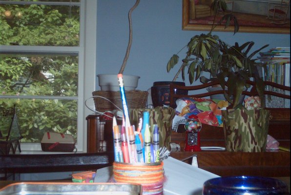 Tim pictures (05-30-2010 08:07)