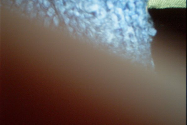 Tim pictures (05-30-2010 08:08)