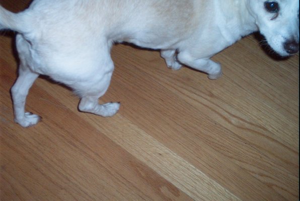 Emily (05-30-2010 08:08)