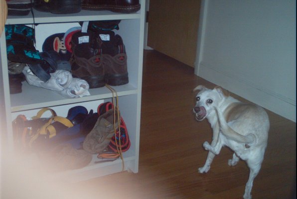 Emily (05-30-2010 08:08)