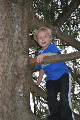 Tim (04-21-2010 13:37)