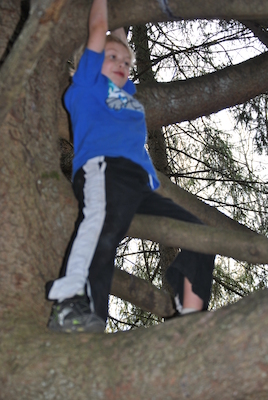 Tim (04-21-2010 13:37)