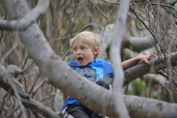 Tim (04-21-2010 13:55)