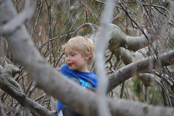 Tim (04-21-2010 13:55)