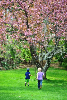 Aahan, Cole (04-21-2010 13:57)