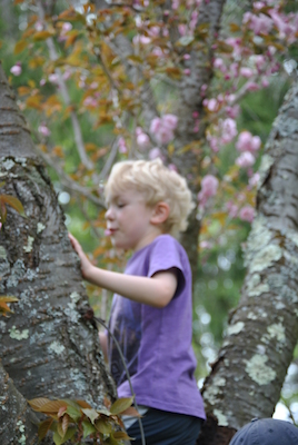 Cole (04-21-2010 13:59)