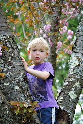 Cole (04-21-2010 13:59)