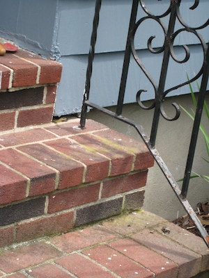 Sunny snake peaking out (06-05-2010 09:32)