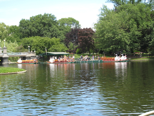 Swan Boats (06-22-2010 11:40)