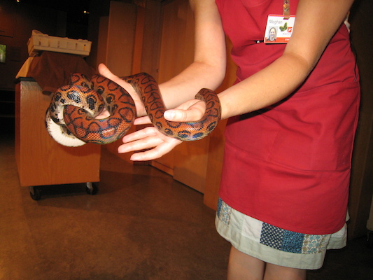 Snake at the MoS (by Cole) (06-22-2010 14:41)