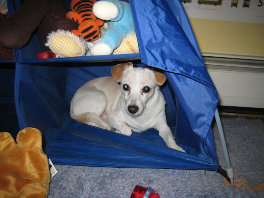 Emily hiding with the stuffed animals (06-24-2010 19:12)