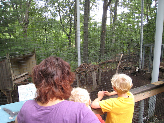Xine, Cole and Tim watching the eagles (07-14-2010 09:26)