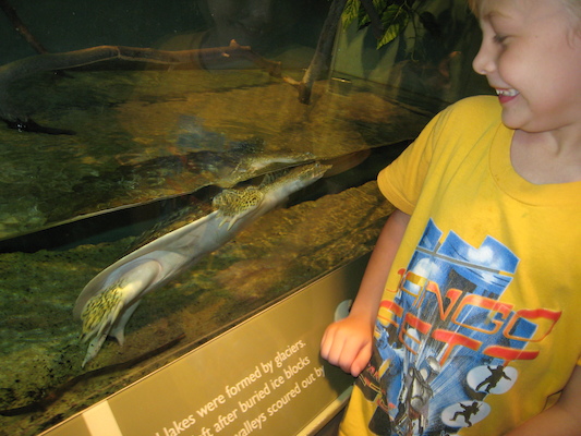 Tim and the Spiny Softshell Turtle (07-14-2010 12:40)