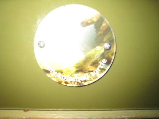 Spiny Softshell Turtle (07-14-2010 12:40)