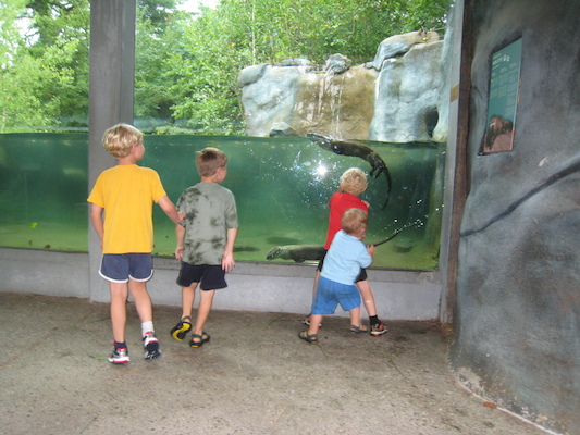 Tim and Cole with the swimming otters (07-14-2010 14:13)