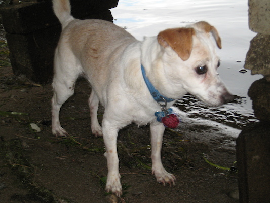 Emily ready to attack the waves (07-14-2010 18:10)