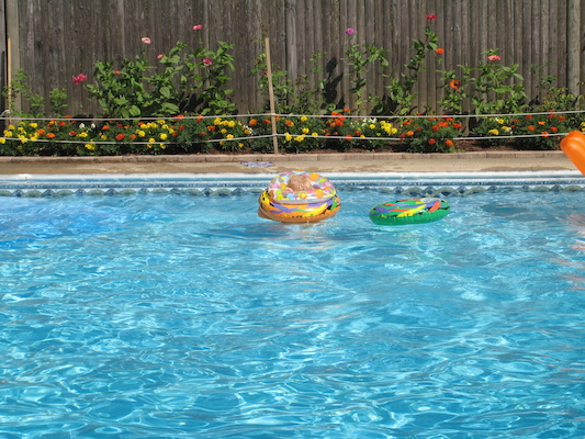 Cole swimming at the Cordes' pool party (07-17-2010 14:36)