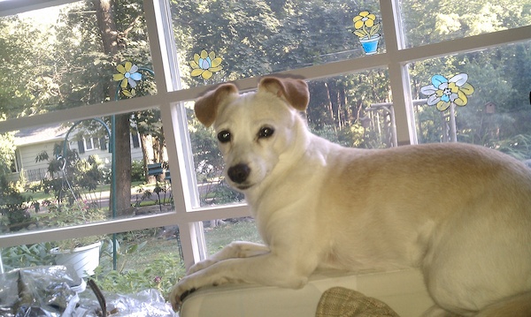 Emily (07-30-2010 18:10)