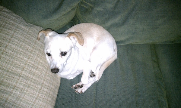 Emily (07-30-2010 18:39)