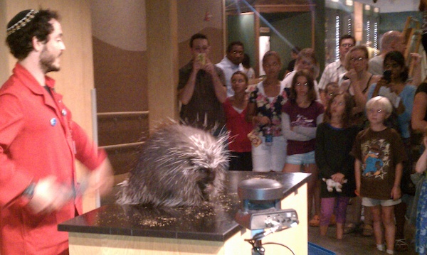 Porcupine and Tim (08-08-2010 15:22)