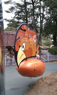 Tim in a rooster (08-15-2010 10:53)