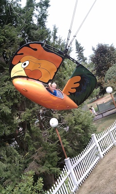 Tim in a rooster (08-15-2010 10:55)