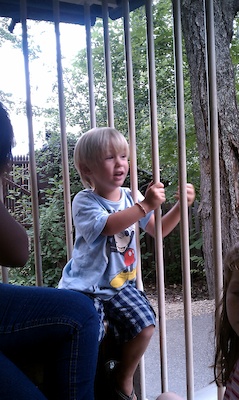 Solomon in a cage (08-21-2010 13:14)