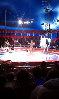 Circus dogs (08-21-2010 14:04)