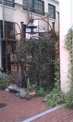 French Garden at Iggy's in Cambridge (08-17-2010 17:49)