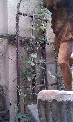 French Garden at Iggy's in Cambridge (08-17-2010 17:50)