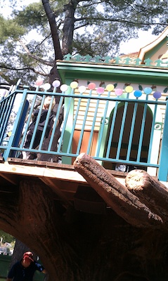 Tim in a treehouse (08-21-2010 10:16)