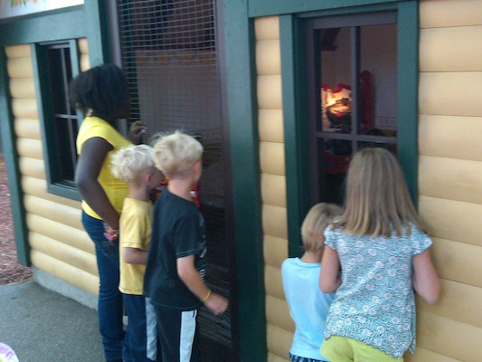 Yazzi, Cole, Tim, Solomon and Linnea looking at the wolf (08-23-2010 07:49)