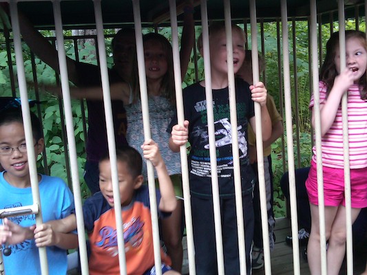 Caged Ben, Linnea, Tim and Cole (08-23-2010 07:49)