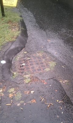 Flooded drain (08-25-2010 11:53)