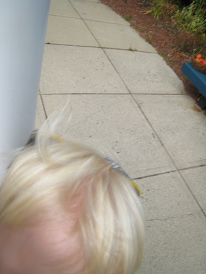 Cole Head (09-07-2010 07:59)