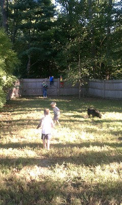 Andrew vs. the kids (09-06-2010 17:28)