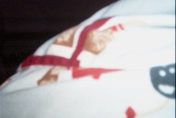 IMG_1520 (10-21-2010 07:03)