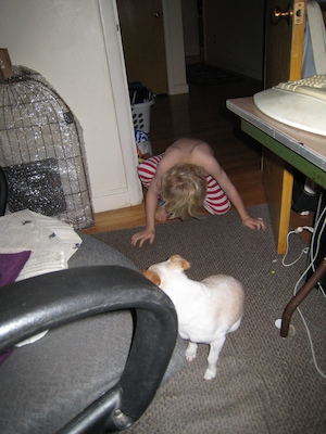 Cole mooking with the dog (12-27-2010 08:02)